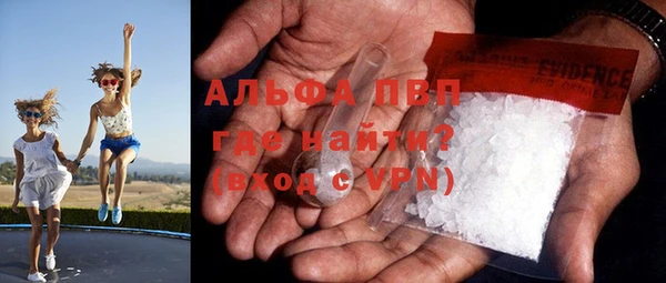 сатива Новокубанск