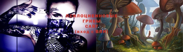 apvp Нефтекумск
