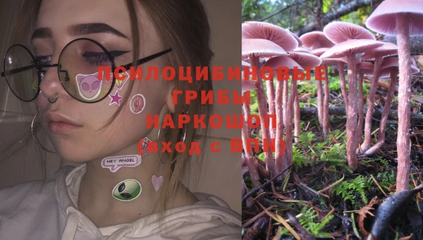 скорость Заречный