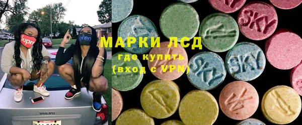 сатива Новокубанск