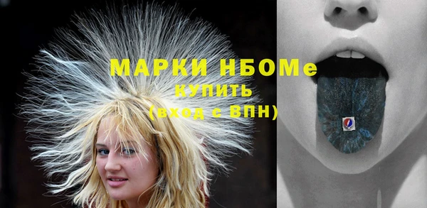 сатива Новокубанск