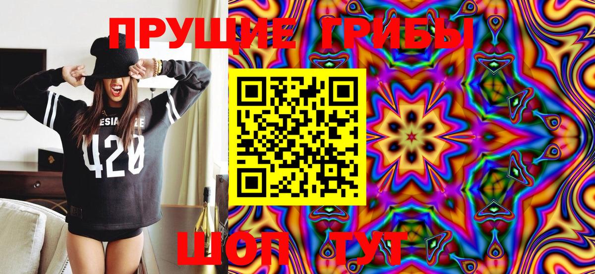 Галлюциногенные грибы Psilocybe  Вход с VPN  Карабулак 